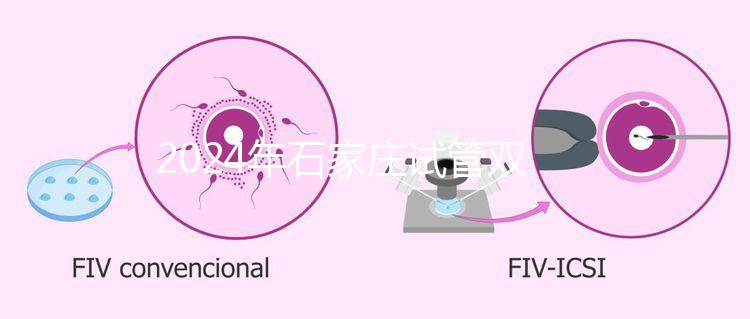 2024年石家莊試管雙胞胎醫(yī)院排名,不要錯(cuò)過(guò)新華、長(zhǎng)安