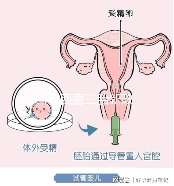 2024年西藏三胎新政策出臺，拉薩、日喀則產假戳多久？
