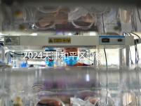 2024天津和平區婚檢預約并不難！最重要的是找到免費醫院！