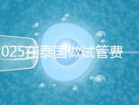 2025在泰國做試管費(fèi)用預(yù)估，助孕一次不到10萬