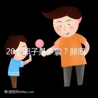 20個卵子是多囊？卵泡多≠多囊卵巢，排卵與否是關鍵
