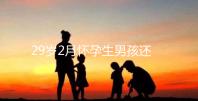 29歲2月懷孕生男孩還是女孩？清宮表2023帶你預測結果