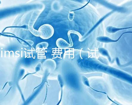 imsi試管 費用(試管imsi是什么意思)